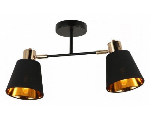 Светильник на штанге ILLUMICO Abelie IL6116-2COU-79 BK GD Abelie