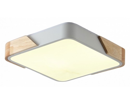 Накладной светильник Zortes Alberro ZRS.01285.60 Накладной светильник Zortes Alberro ZRS.01285.60