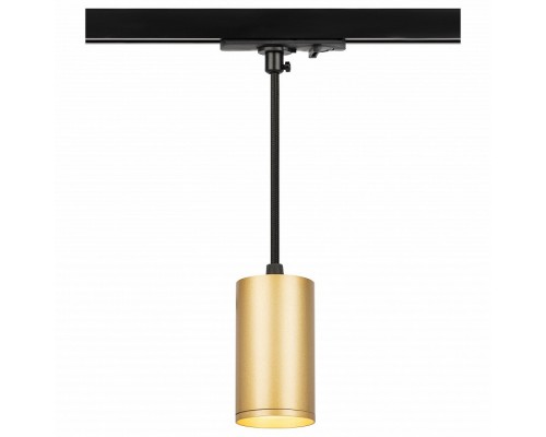 Подвесной светильник Эра  TR45 - GU10 S MG