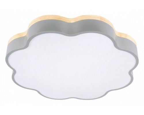 Накладной светильник Loft it Axel 10225/36 Grey Накладной светильник Loft it Axel 10225/36 Grey