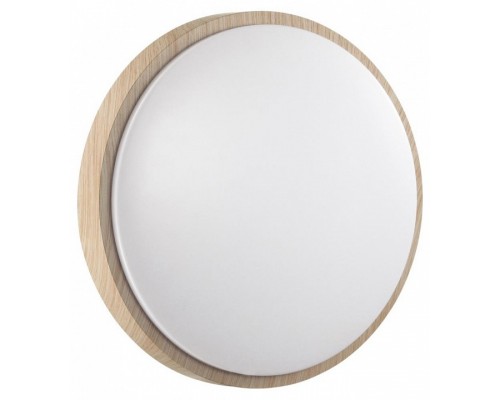 Накладной светильник Sonex PALE 7607/CLN