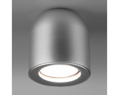 Накладной светильник Elektrostandard DLN116 a050674