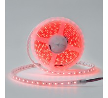 Лента светодиодная DesignLed DSG560 00-00003351