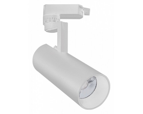 Светильник на штанге Escada 20029 20029TRA/02LED SWH Светильник на штанге Escada 20029 20029TRA/02LED SWH