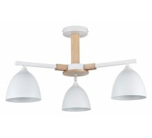 Люстра на штанге Lumion Colange 8095/3C