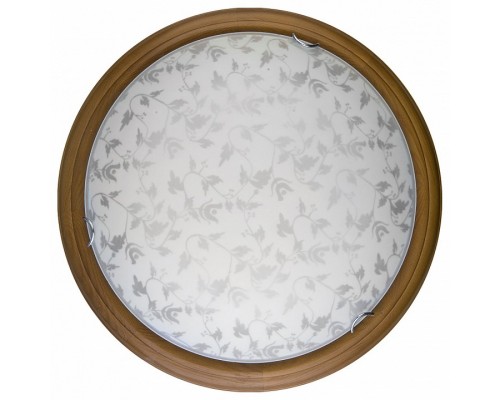 Накладной светильник TopLight Beatrice TL9280Y-00OA