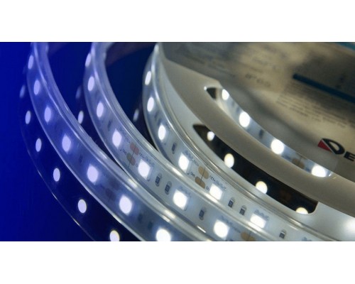 Лента светодиодная DesignLed DSG560 00-00000518