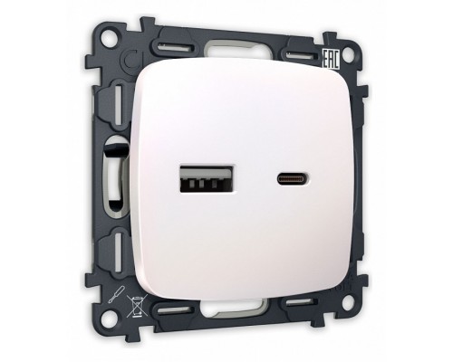 Розетка 2хUSB type A и C без рамки Ambrella Volt Quant MO211010