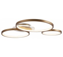 Накладной светильник Freya  FR10014CL-L87G