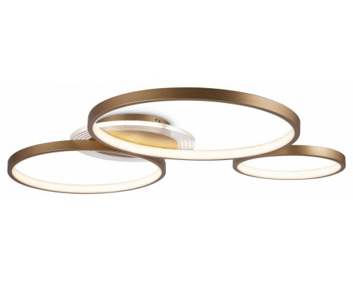 Накладной светильник Freya  FR10014CL-L87G