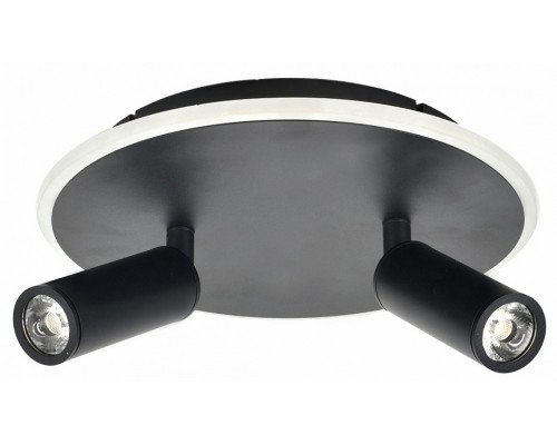 Светильник на штанге Escada 20046LED 20046SMA/02LED BK Светильник на штанге Escada 20046LED 20046SMA/02LED BK