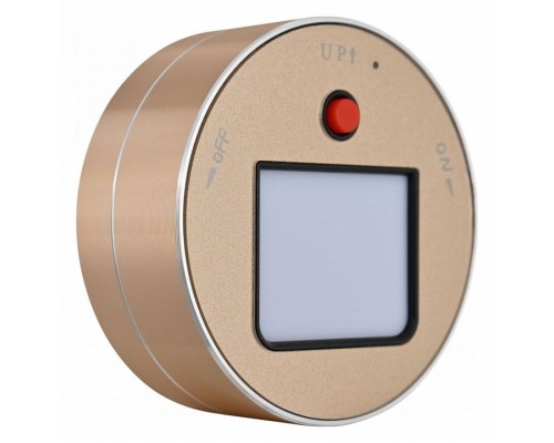 Накладной светильник Arte Milano Am-track-sockets 380011TL/Light Gold Накладной светильник Arte Milano Am-track-sockets 380011TL/Light Gold