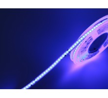 Лента светодиодная SWG PRO SWG-COB 00-00032667