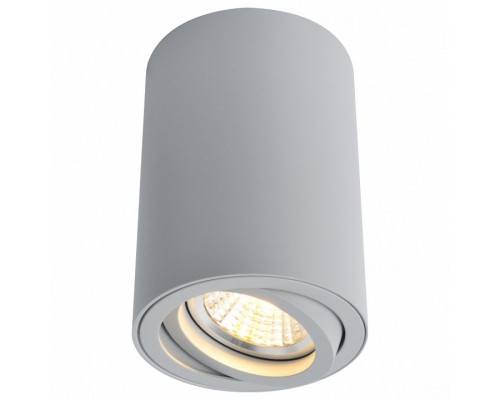 Накладной светильник Arte Lamp 1560 A1560PL-1GY Накладной светильник Arte Lamp 1560 A1560PL-1GY