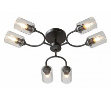 Потолочная люстра Vitaluce V2822 V2822-1/6PL