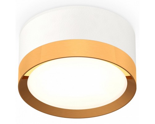 Накладной светильник Ambrella Light XS XS8101005 Накладной светильник Ambrella Light XS XS8101005