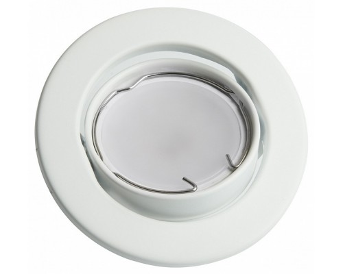 Встраиваемый светильник Feron DL11 48465 Встраиваемый светильник Feron DL11 48465