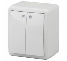 Выключатель двухклавишный с подсветкой Эра Эра Эксперт 11-1405-01