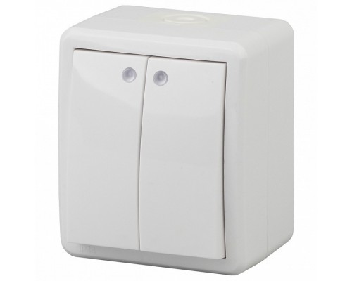 Выключатель двухклавишный с подсветкой Эра Эра Эксперт 11-1405-01