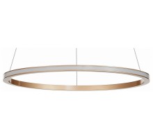 Подвесной светильник ST-Luce ST604 OUT 