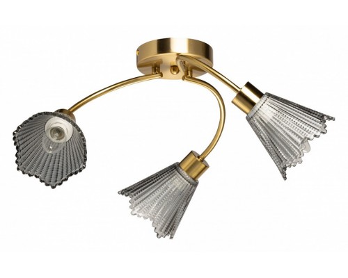 Потолочная люстра De City Восторг 26 242018103