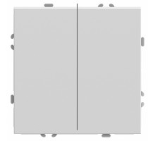 Выключатель двухклавишный без рамки Stekker RSW10-5107-01 49869