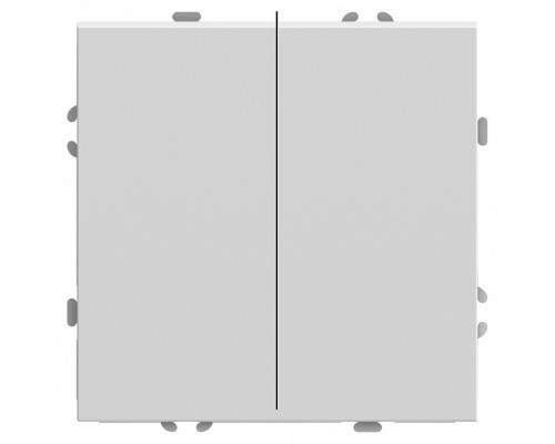 Выключатель двухклавишный без рамки Stekker RSW10-5107-01 49869 Выключатель двухклавишный без рамки Stekker RSW10-5107-01 49869