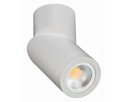 Светильник на штанге ST-Luce ST650 Светильник на штанге ST-Luce ST650