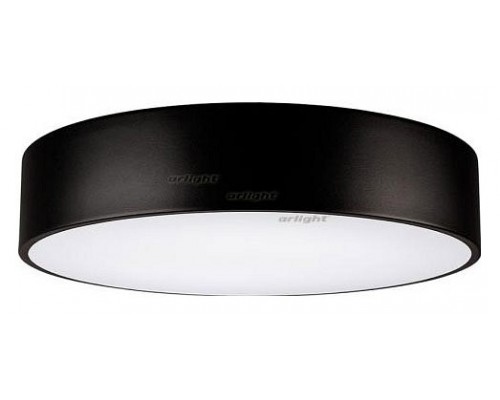 Накладной светильник Arlight SP-TOR-PILL-R400-25W Day4000 (BK, 120 deg) 022996(1) Накладной светильник Arlight SP-TOR-PILL-R400-25W Day4000 (BK, 120 deg) 022996(1)