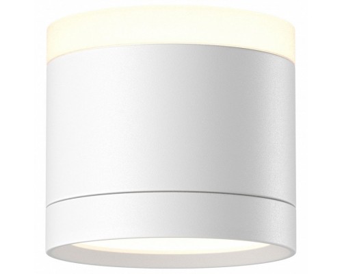 Накладной светильник Maytoni Technical Pauline C120CL-GX53-W