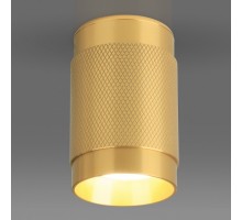 Накладной светильник Elektrostandard DLN109 a047741