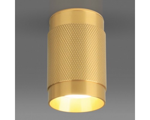 Накладной светильник Elektrostandard DLN109 a047741