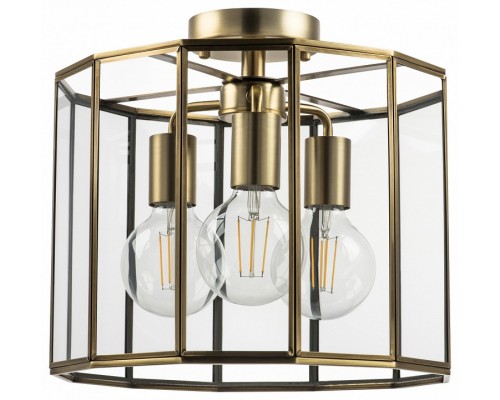 Светильник на штанге Lightstar Genni 798231 Светильник на штанге Lightstar Genni 798231