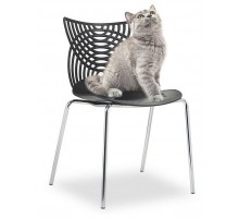 Стул Cat