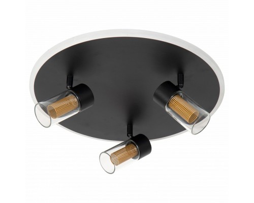 Накладной светильник Lucide Everina 00131/40/30