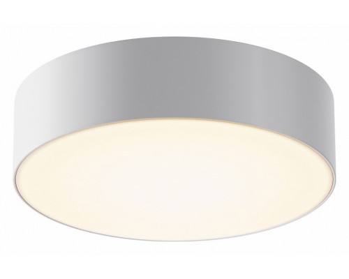 Накладной светильник Maytoni Zon IP O431CL-L30W3K Накладной светильник Maytoni Zon IP O431CL-L30W3K