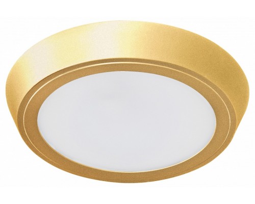 Накладной светильник Lightstar Urbano 216934 Накладной светильник Lightstar Urbano 216934