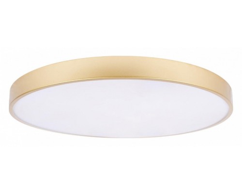 Накладной светильник Loft it Flims 10228/B