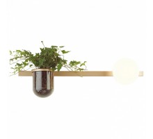 Бра Odeon Light Flower 4682/1WA