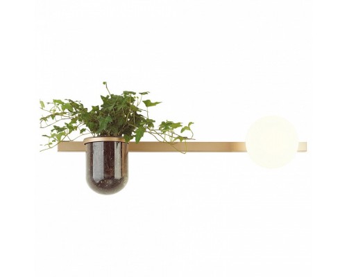 Бра Odeon Light Flower 4682/1WA