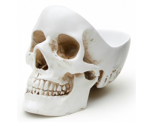 Органайзер (12.5х21.5х16 см) Skull SK TIDYSKULL1 Органайзер (12.5х21.5х16 см) Skull SK TIDYSKULL1