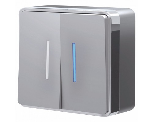 Выключатель двухклавишный с подсветкой Werkel Gallant W5020106 Выключатель двухклавишный с подсветкой Werkel Gallant W5020106