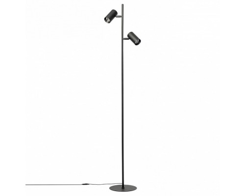 Торшер Citilux Twin 