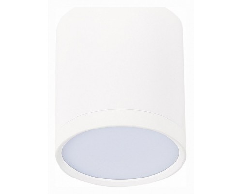 Накладной светильник ST-Luce Rene 