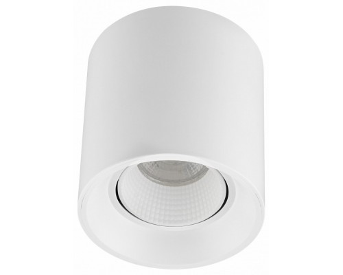 Накладной светильник Denkirs DK3040 DK3090-WH Накладной светильник Denkirs DK3040 DK3090-WH