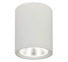 Накладной светильник Escada 20003 20003SMU/02LED SWH