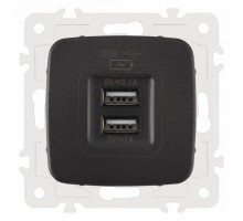 Розетка USB, без рамки Arte Milano am-205 205.46-1.black