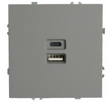 Розетка 2хUSB type A и C без рамки Stekker Эмили 49957