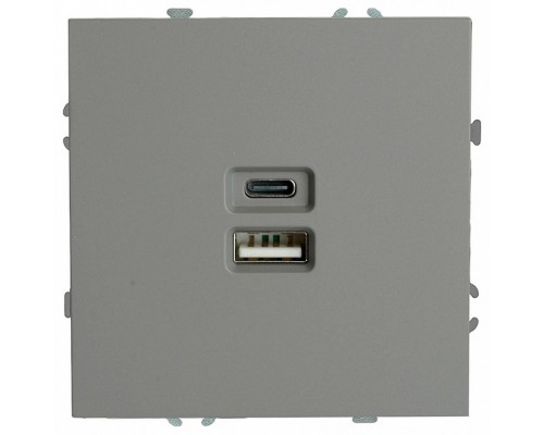 Розетка 2хUSB type A и C без рамки Stekker Эмили 49957 Розетка 2хUSB type A и C без рамки Stekker Эмили 49957