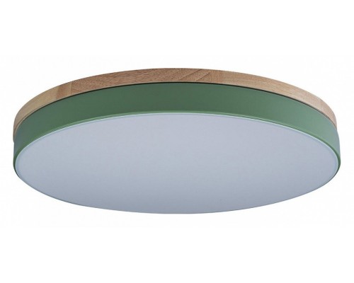 Накладной светильник Loft it Axel 10001/36 Green Накладной светильник Loft it Axel 10001/36 Green